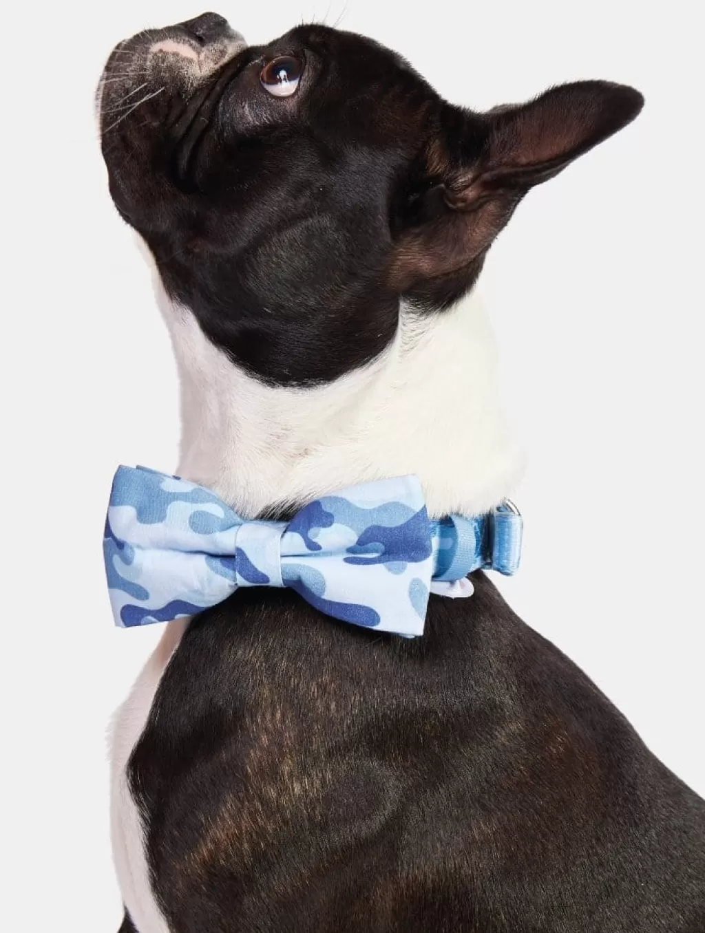 Shop All Accessories | Home & Lifestyle-Skinnydip London Camo Printed Easy Attach Pet Bow